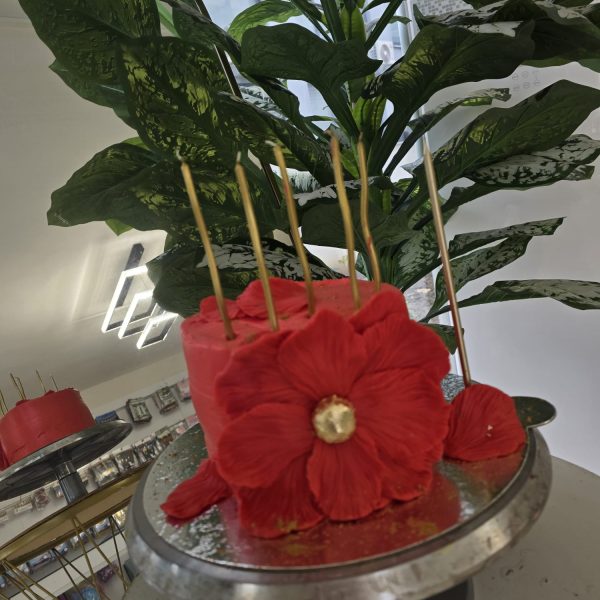 Figürlü Pasta BY Simge 0015